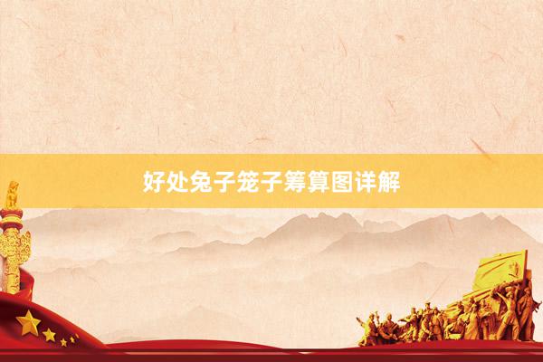 好处兔子笼子筹算图详解