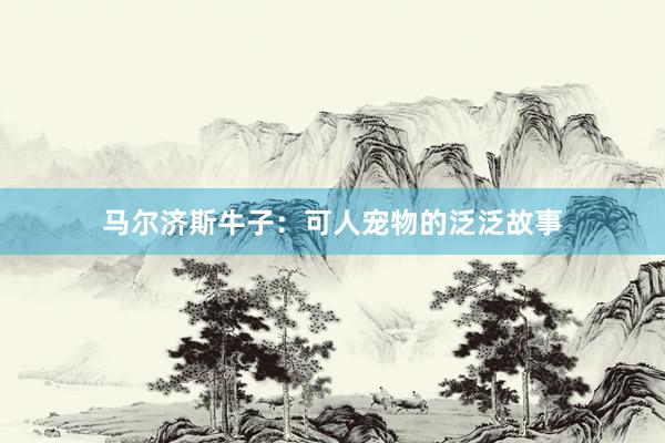 马尔济斯牛子：可人宠物的泛泛故事