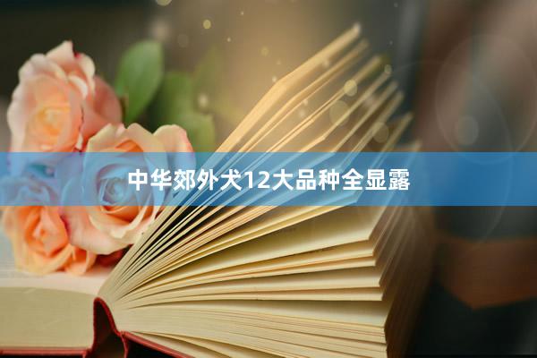 中华郊外犬12大品种全显露