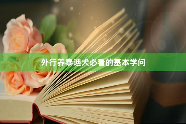外行养泰迪犬必看的基本学问
