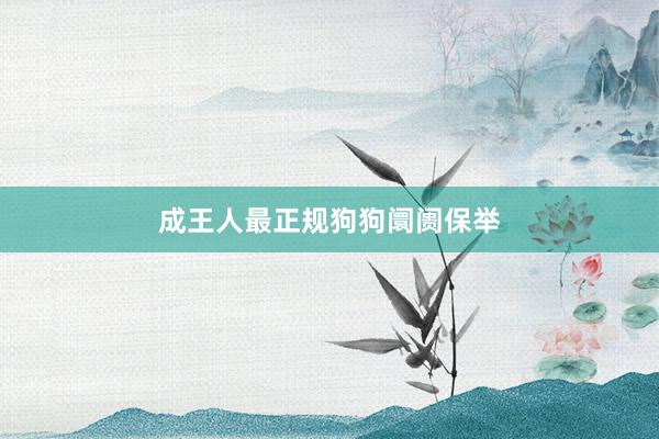 成王人最正规狗狗阛阓保举